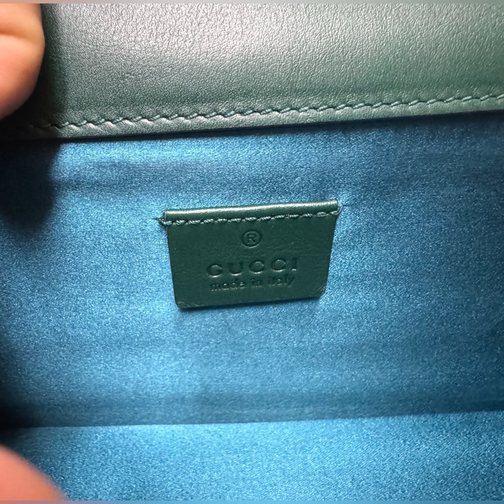 🔥Limited Edition Gucci Velvet Dionysus Small - Picture 6 of 15